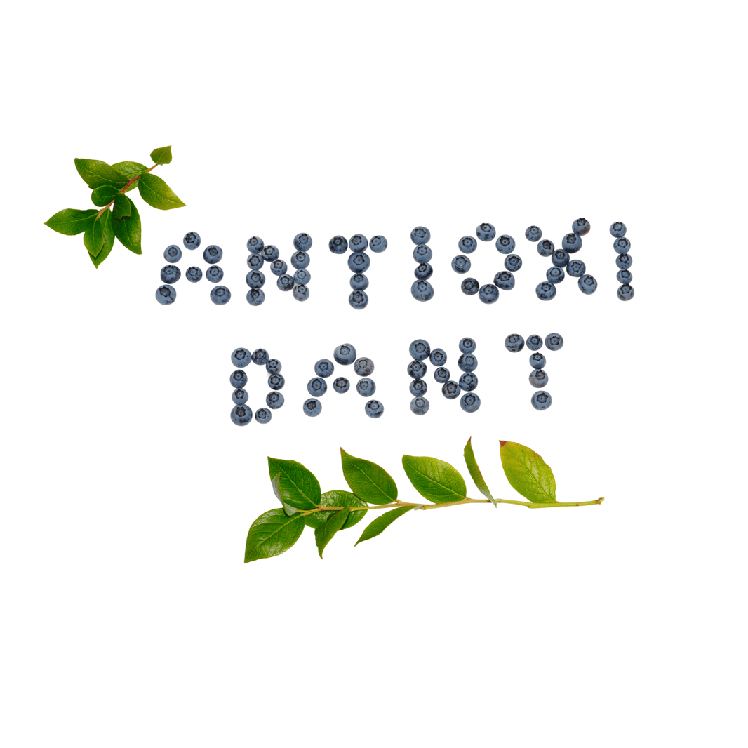 Polyfenolen in olijfolie – wat ze zijn en waarom ze belangrijk zijn voor je gezondheid