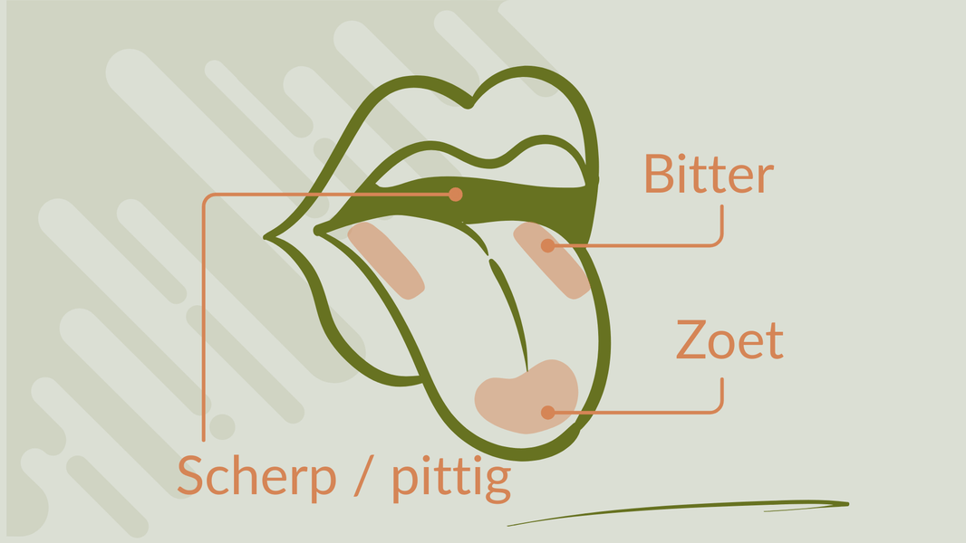 Waarom is olijfolie bitter en scherp?